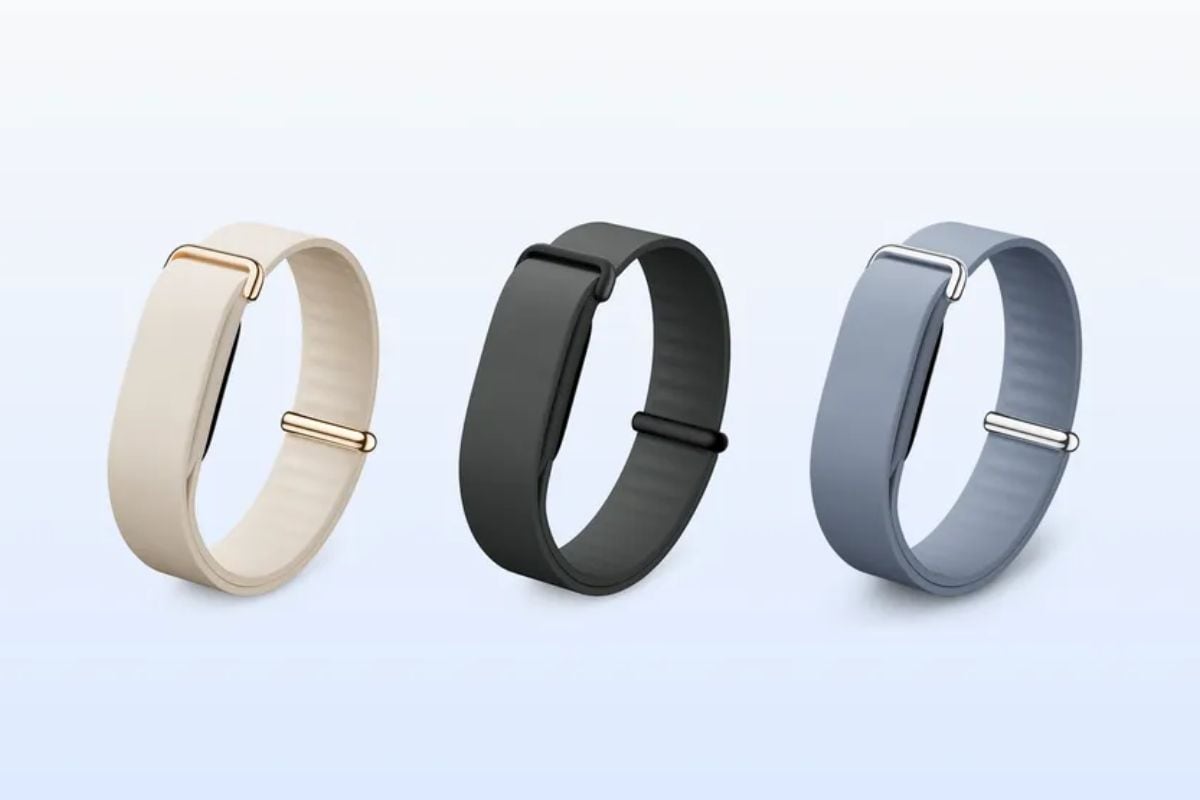 Fitbit Air launch, price, specs
